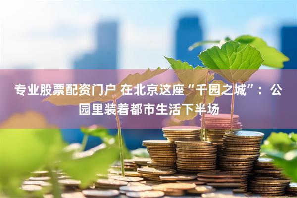 专业股票配资门户 在北京这座“千园之城”：公园里装着都市生活下半场