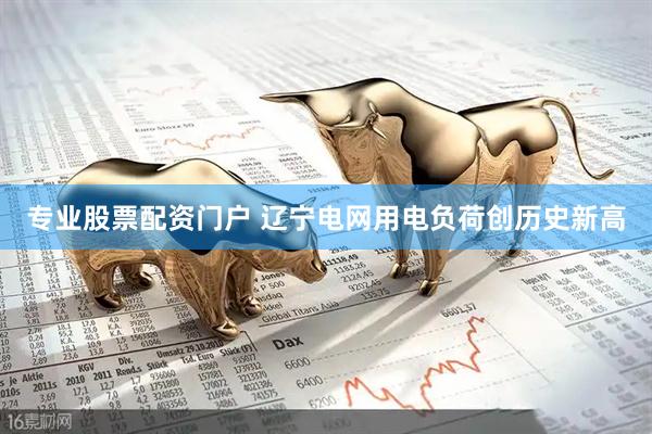 专业股票配资门户 辽宁电网用电负荷创历史新高