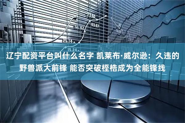 辽宁配资平台叫什么名字 凯莱布·威尔逊：久违的野兽派大前锋 能否突破桎梏成为全能锋线